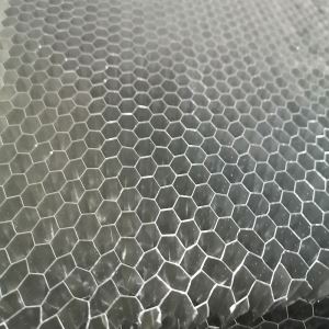 Panneau de sandwich en nid d'abeille en aluminium