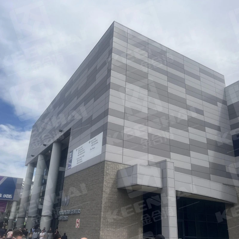 Panneau mural extérieur en tôle d'aluminium solide